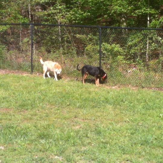 Sandy Springs Dog Park 3 tips from 155 visitors