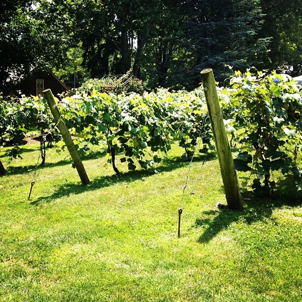 6/30/2012 tarihinde Tracey B.ziyaretçi tarafından Crossing Vineyards and Winery'de çekilen fotoğraf