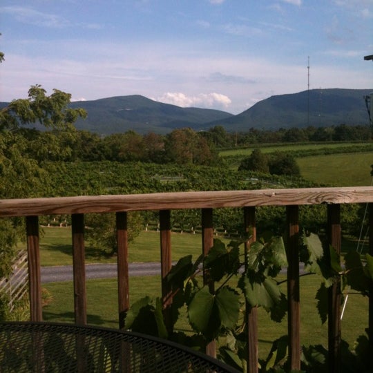 Shenandoah Vineyards Vineyard in Edinburg