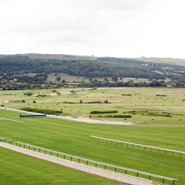 Our Graduation Ceremonies are held every year at Cheltenham Racecourse