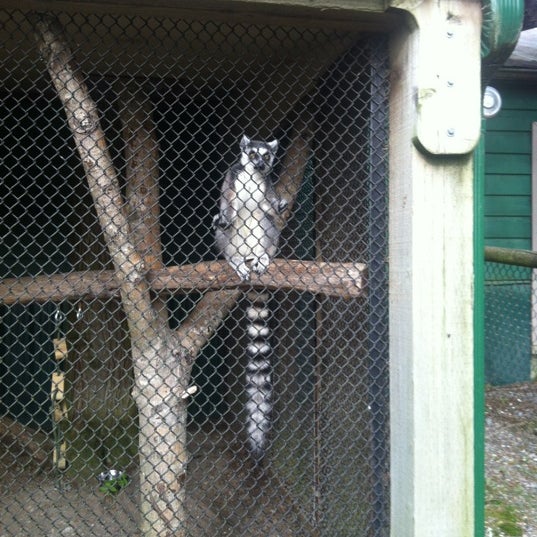 Foto tomada en Greater Vancouver Zoo  por Graham M. el 4/10/2012