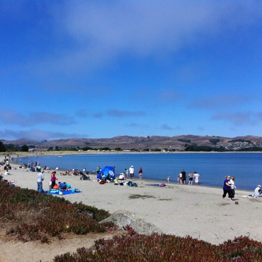 Doran Beach 13 Tips From 1412 Visitors