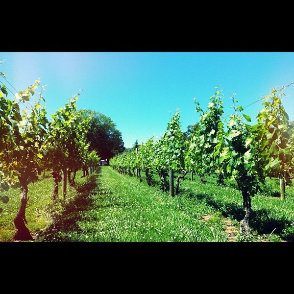 Photo taken at Peconic Bay Winery by Irene M. on 6/16/2012