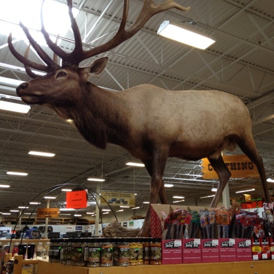 Sportsman S Warehouse 2 Tips