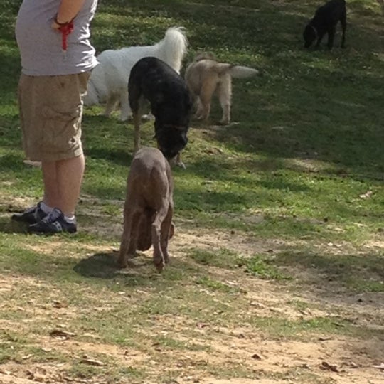 Photos at Raising Cane's Dog Park Dog Run in Baton Rouge
