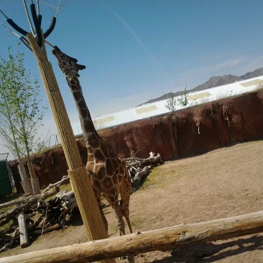 Photo taken at El Paso Zoo by Brianna D. on 5/5/2012