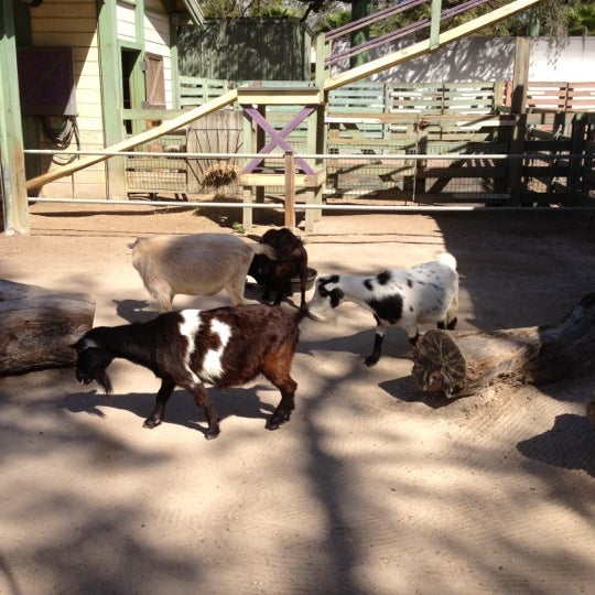 Sissy Island Petting Zoo