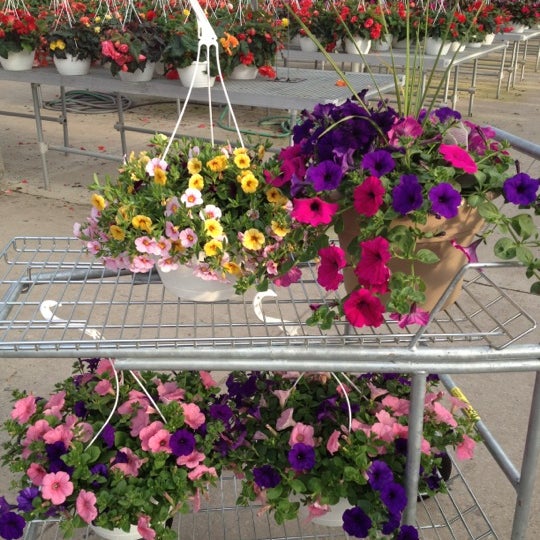 Schwartz's Greenhouse Flower Shop in Huron