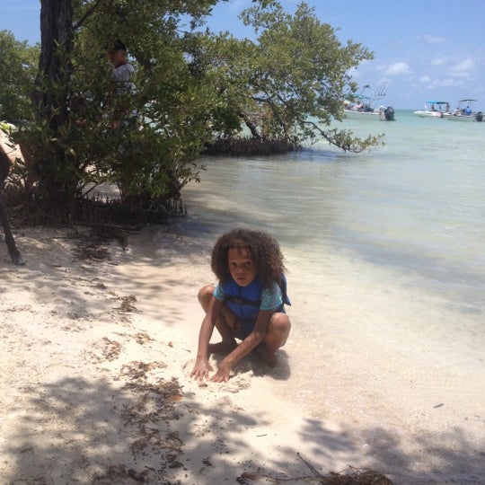 Picnic Island