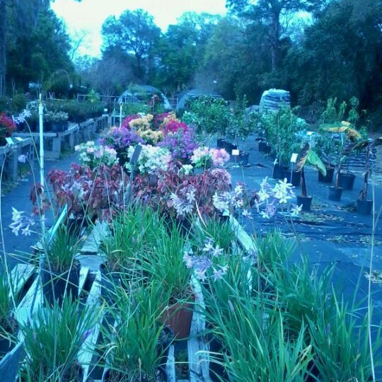 Place plant. Place plant. магазин plants. Place plant. Place plant.