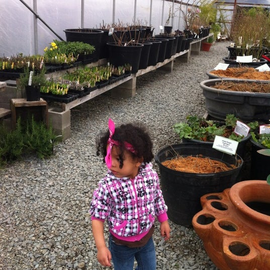 Flower Nursery Olympia Wa Best Flower Site