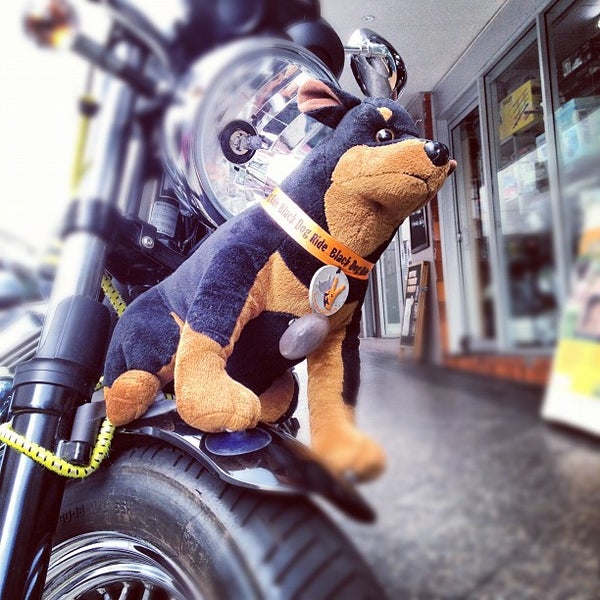 junction pets pantry