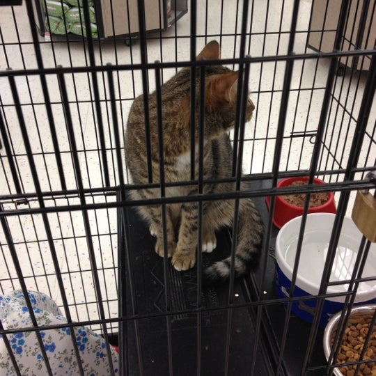 Petco Pet Supplies Store in Delafield