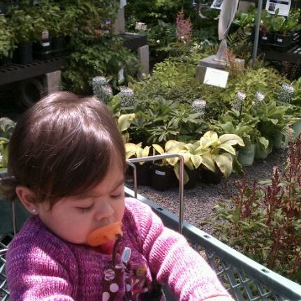 Photo taken at Chalet Nursery &amp; Garden by Oscar G. on 6/2/2012