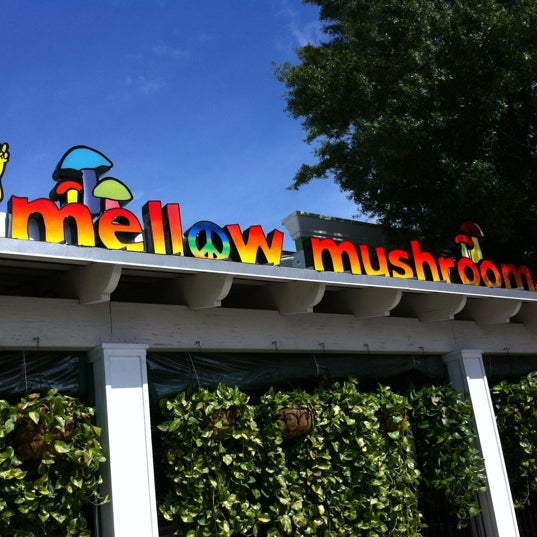 Mellow Mushroom 68 tips from 3403 visitors