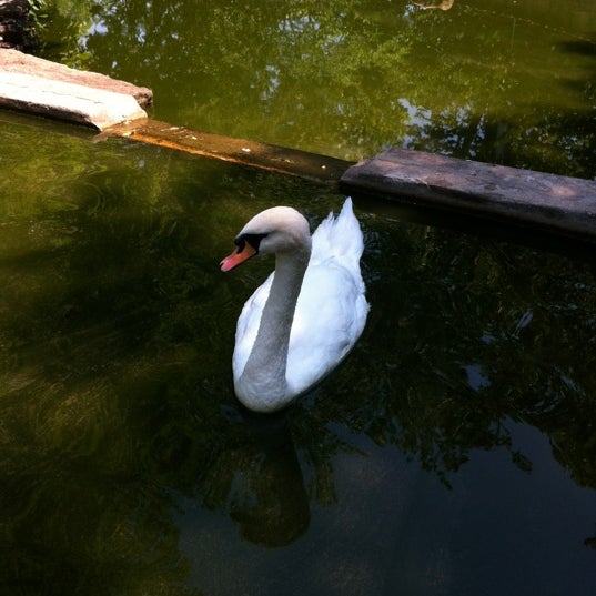 Foto diambil di Elmwood Park Zoo oleh Louise G. pada 6/30/2012