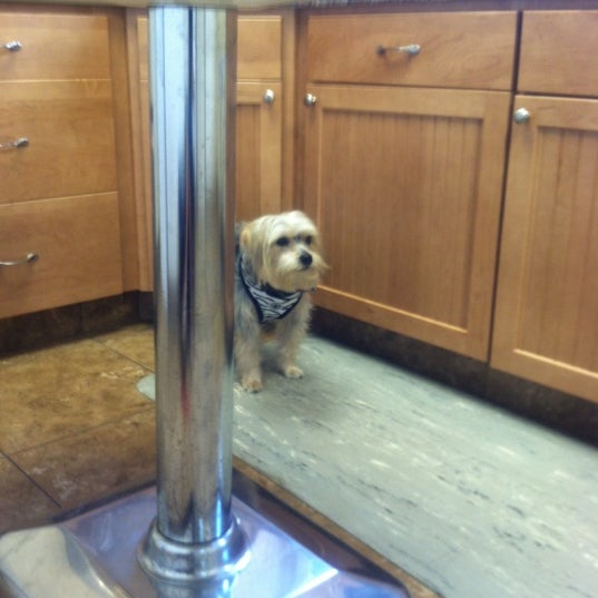 Photos At Noah S Ark Veterinary Boarding Resort Pet Service In