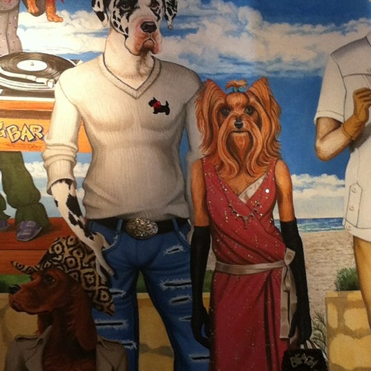 2/18/2012にPaul S.がThe Dog Barで撮った写真