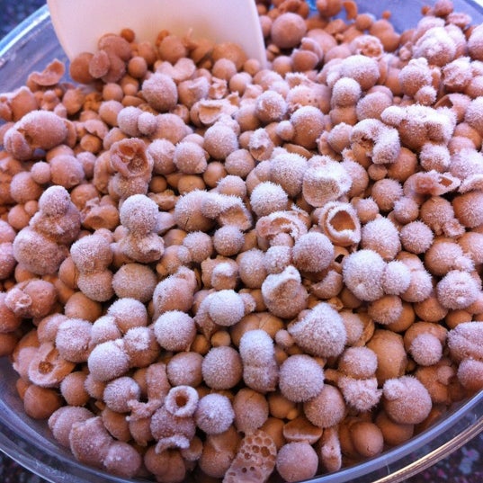 Dippin' Dots Dessert Shop