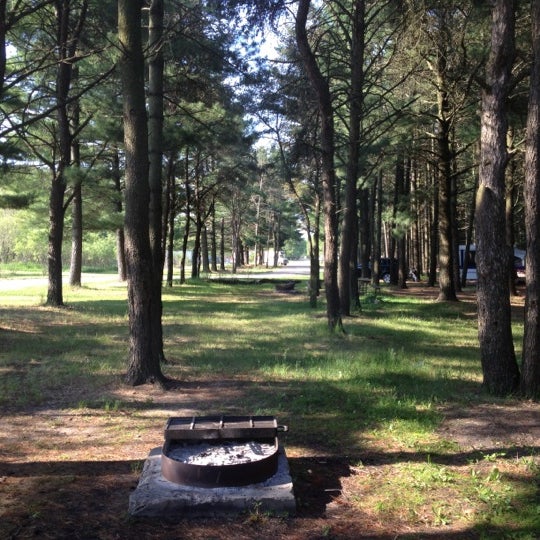 Are Dogs Allowed At Illinois Beach State Park