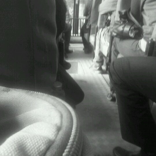 University Bus