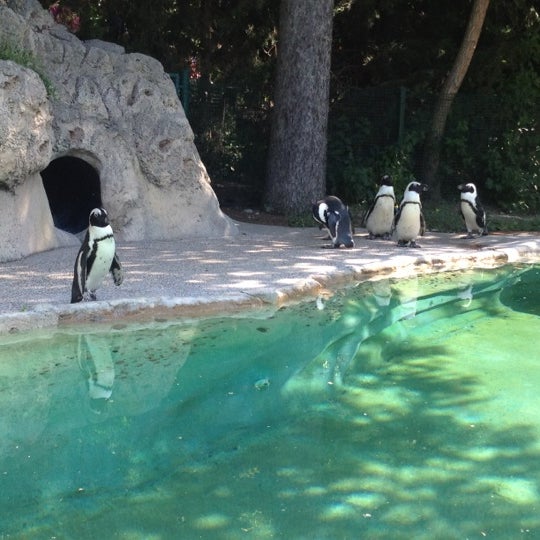 6/28/2012 tarihinde Jennifer P.ziyaretçi tarafından The Children&#39;s Zoo at Celebration Square'de çekilen fotoğraf