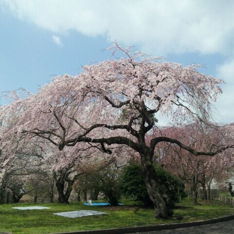 榴岡公園 Tsutsujigaoka Park 仙台市 宮城県 榴岡公園 Tsutsujigaoka Park 仙台市 宮城県