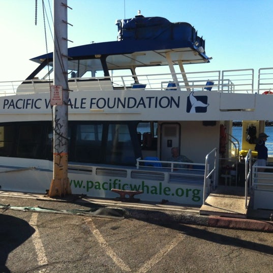 8/26/2012にVinh L.がPacific Whale Foundationで撮った写真