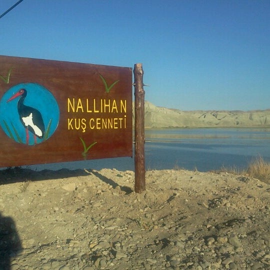Nallıhan Kuş Nallıhan Ankara, Ankara
