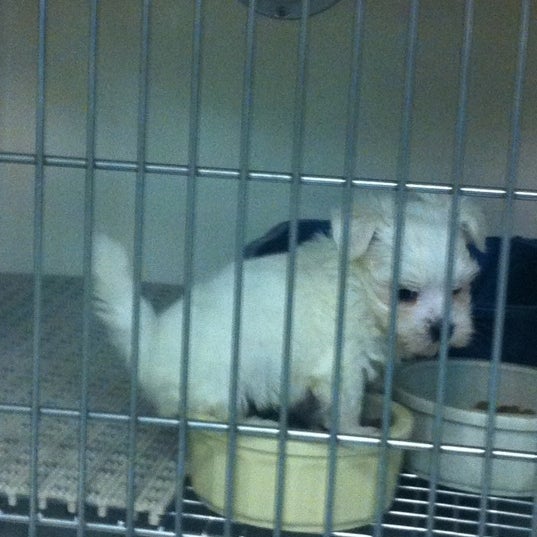Lakeside Pets - Metairie, LA Lakeside Pets - Metairie, LA