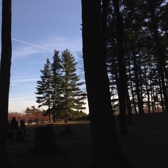 Photos at Livingston Park North End 12 tips