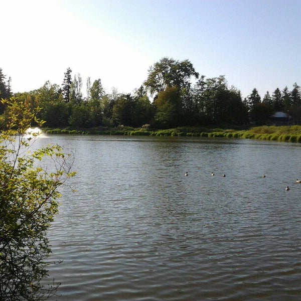 Brydon Park Nature Lagoon Park in Langley