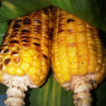 Jagung Bakar Hawaii Medan Sumatera Utara