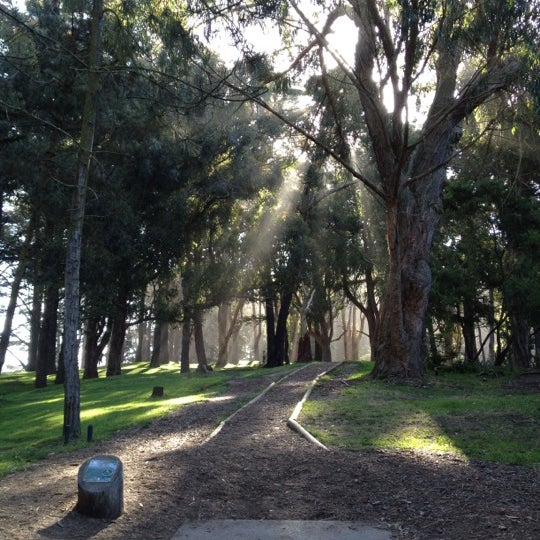 Photos at Golden Gate Park Disc Golf Course Golden Gate Park 18