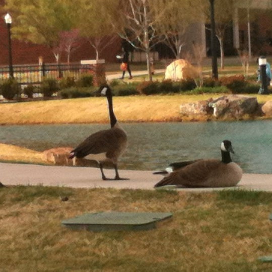 Cameron University South Shepler Lawton, OK