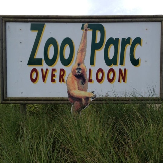 8/30/2012에 Norbert W.님이 Zoo Parc Overloon에서 찍은 사진