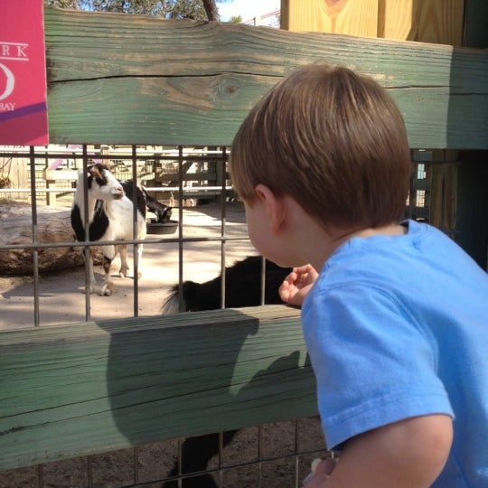 Sissy Island Petting Zoo