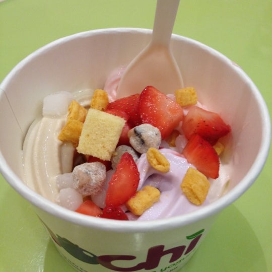 Mochi Frozen Yogurt (Now Closed) Central Business District Orlando, FL