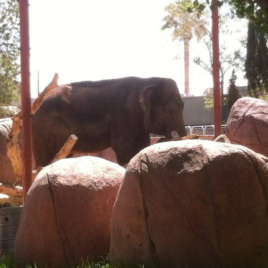 Photo taken at El Paso Zoo by Adam W. on 3/31/2012