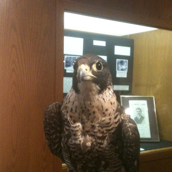 Das Foto wurde bei Museum Of The Oregon Territory von Karin M. am 6/2/2012 aufgenommen