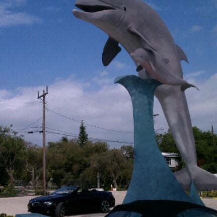 Photo taken at Dolphin Research Center by David on 4/27/2012