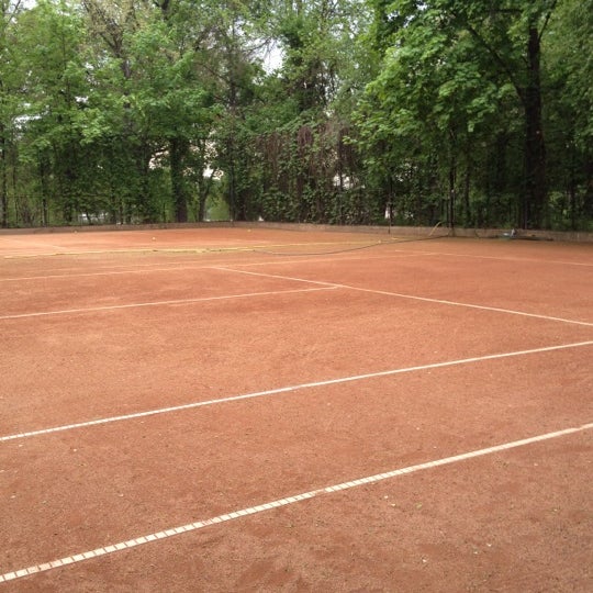 э корт. энн ли теннис фото. э корт. теннисистка аранго э. э корт.