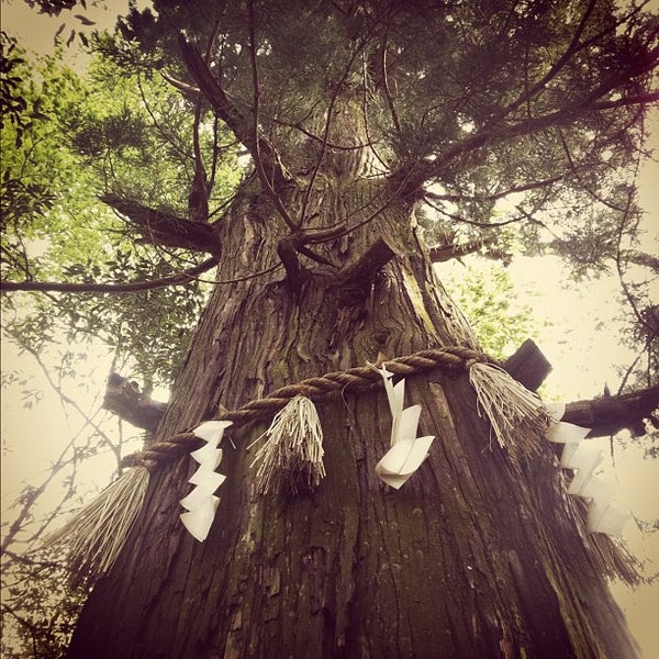 Photos At たこ杉 蛸杉 2 Tips