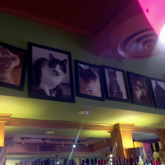 6/21/2012에 John B.님이 Stray Cat Bar &amp; Grill에서 찍은 사진