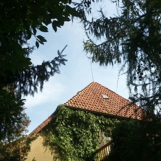 Buchweizentorte