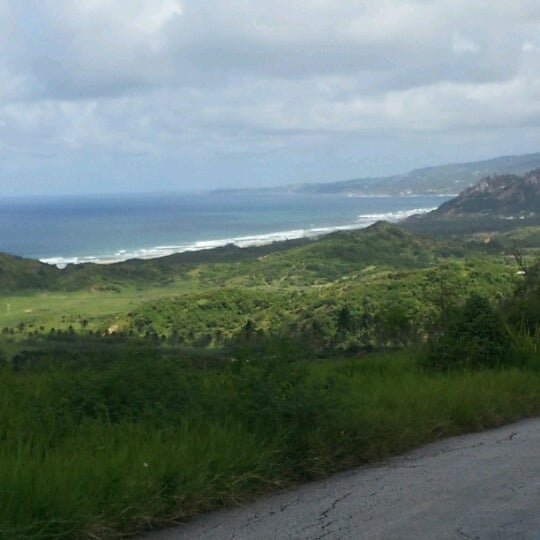 cherrytree hill