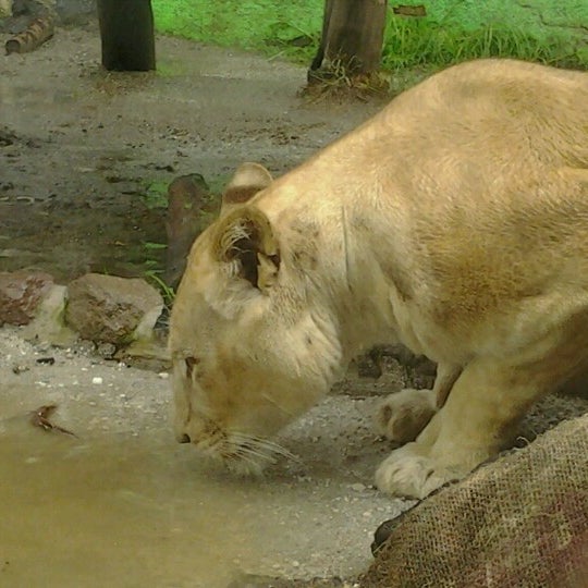 Foto tirada no(a) Zoo Parque Loro por Erick R. em 7/28/2012