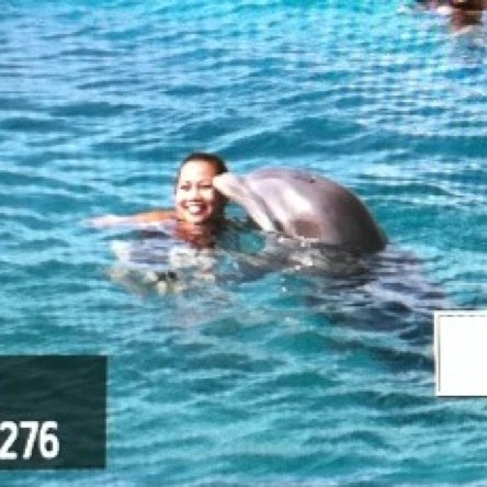 6/30/2012 tarihinde Jennifer R.ziyaretçi tarafından Dolphin Academy'de çekilen fotoğraf