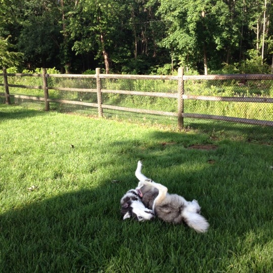 Spencer's Run Dog Park at Waveny Park 677 South Ave