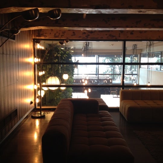 Snapdragon Kitchen & Bar Bar in Viaduct Harbour